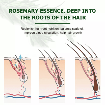 Rosemary Essential Oil